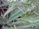     
: DSCN3910.jpg
: 4
:	185.9 
ID:	4497992