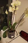     
: IMG_8369.jpg
: 11
:	62.7 
ID:	4498101