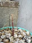     
: DSC02263.JPG
: 51
:	143.3 
ID:	4499192