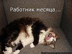     
: fCJ_HBoJBHA.jpg
: 13
:	91.1 
ID:	4499355