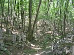     
: P1010135 (2).jpg
: 67
:	158.9 
ID:	450276