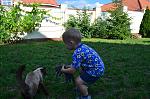     
: DSC_0035-2.jpg
: 11
:	189.6 
ID:	4504632