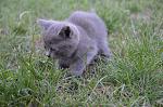     
: DSC_0029-2.jpg
: 8
:	131.2 
ID:	4504633