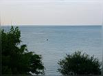     
: l1AB4PrQTn8.jpg
: 25
:	83.6 
ID:	4504648