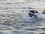     
: P7070881.JPG
: 7
:	128.2 
ID:	4508223