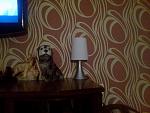     
: 07072012182.jpg
: 21
:	148.1 
ID:	4511239
