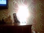     
: 07072012185.jpg
: 22
:	133.0 
ID:	4511244
