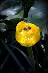     
: IMAG0478.jpg
: 130
:	50.6 
ID:	4511598