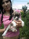     
: aQ1c0ZKtEo0.jpg
: 7
:	76.9 
ID:	4511975