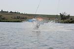     
: IMG_2086.jpg
: 12
:	221.1 
ID:	4513074
