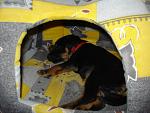     
: DSC02498.JPG
: 51
:	138.5 
ID:	4513484