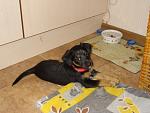     
: DSC02491.JPG
: 51
:	155.8 
ID:	4513488
