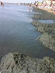     
: Море 7 июля 006.jpg
: 92
:	149.9 
ID:	4513816