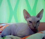     
: NwVJwQ3Tjtg.jpg
: 45
:	78.7 
ID:	4515083