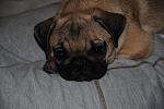     
: y_6a748806.jpg
: 14
:	125.3 
ID:	4515829