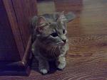     
: 05122011256.jpg
: 7
:	151.5 
ID:	4516695