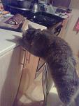     
: 04032012398.jpg
: 12
:	96.3 
ID:	4516696