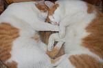     
: DSC_9225.jpg
: 17
:	96.0 
ID:	4516981