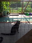    
: 20120707_163336.jpg
: 17
:	134.1 
ID:	4517034