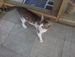     
: 20120707_163020.jpg
: 4
:	166.9 
ID:	4517069