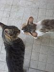     
: 20120707_163105.jpg
: 7
:	110.3 
ID:	4517070