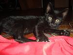     
: DSC03479.jpg
: 14
:	144.4 
ID:	4518926