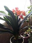     
: 20120610_145902.jpg
: 5
:	92.6 
ID:	4525345
