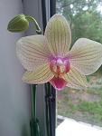    
: 20120626_123803.jpg
: 4
:	67.2 
ID:	4525400