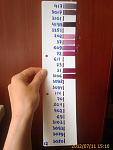     
: 20120711_276.jpg
: 87
:	56.2 
ID:	4526336
