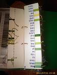     
: 20120711_280.jpg
: 73
:	60.1 
ID:	4526338