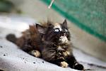     
: IMG_2830-1.jpg
: 9
:	78.6 
ID:	4527338