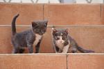     
: DSC05303.jpg
: 12
:	88.6 
ID:	4528174