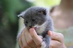     
: DSC04209.jpg
: 7
:	72.5 
ID:	4528180