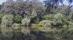     
: 101_0686 bcg.jpg
: 51
:	246.7 
ID:	4528300