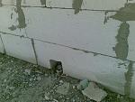     
: 120720121039.jpg
: 20
:	146.1 
ID:	4532393