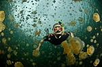     
: ozero-meduz-palau2-620x411.jpg
: 9
:	70.4 
ID:	4532785