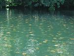     
: IMG_0034-620x465.jpg
: 6
:	79.0 
ID:	4532786