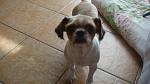     
: DSC03197.jpg
: 16
:	74.9 
ID:	4534519