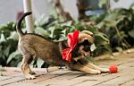    
: IMG_6181.jpg
: 4
:	73.0 
ID:	4538344