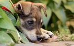     
: IMG_6138.jpg
: 4
:	165.8 
ID:	4538353