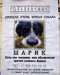     
: J3GkS9q3vpE.jpg
: 8
:	114.8 
ID:	4538930