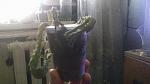     
: IMG_00000221.jpg
: 177
:	99.4 
ID:	4540056