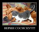     
: BQrvtthQk_c.jpg
: 9
:	66.9 
ID:	4542475