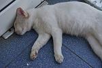     
: DSC08057.jpg
: 14
:	138.5 
ID:	4542702