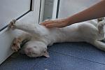     
: DSC08063.jpg
: 10
:	104.8 
ID:	4542712