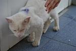     
: DSC08081.jpg
: 13
:	62.6 
ID:	4542713