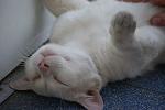     
: DSC08069.jpg
: 13
:	76.7 
ID:	4542714