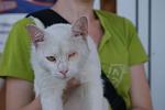     
: DSC08090.jpg
: 14
:	57.7 
ID:	4542715