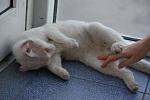     
: DSC08060.jpg
: 10
:	100.5 
ID:	4542716