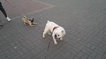     
: 2012-03-19-057.jpg
: 4
:	99.5 
ID:	4544492